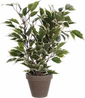 Mica Decorations Ficus Natasja Kunstplant in Bloempot Stan - H40 x Ø30 cm - Groen Bont