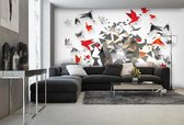 Explosion Birds Abstract  Photo Wallcovering
