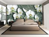 Flowers Photo Wallcovering