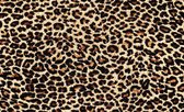 Fotobehang - Vlies Behang - Panterprint - Luipaardprint - Panterhuid - Luipaardhuid - Pantervacht - Luipaardvacht - 208 x 146 cm