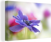 Toile d'anémone violette 2cm 30x20 cm - petit - Tirage photo sur toile (Décoration murale salon / chambre) / Peintures sur toile Fleurs