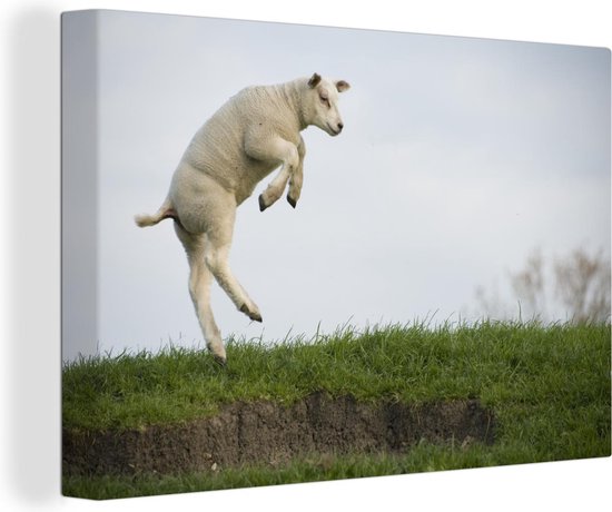 Canvas Schilderij Schaap - Gras - Lente - 60x40 cm - Wanddecoratie