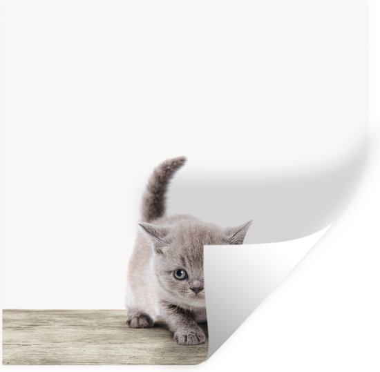 Autocollant pour enfants - Muursticker enfant - Sticker mural chambre d'enfant - Chaton - Chat - Animaux domestiques - Garçons - Enfants - Filles - 50x50 cm - Papier peint autocollant - Film autocollant