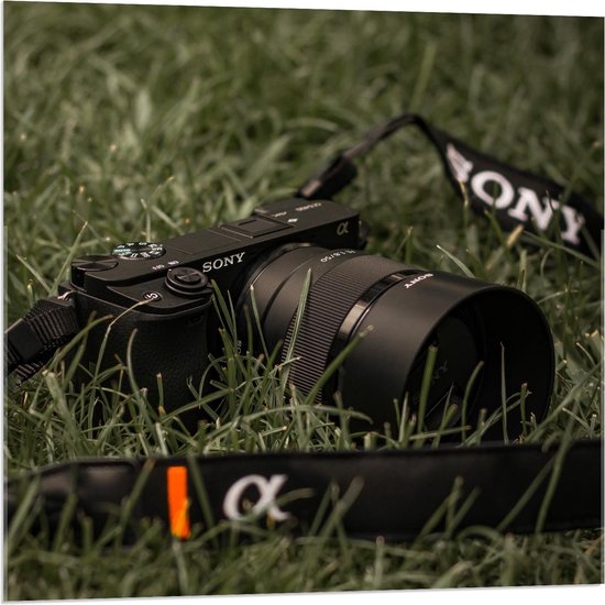 Acrylglas - Sony Camera in het Gras - 80x80cm Foto op Acrylglas (Met Ophangsysteem)