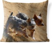 Buitenkussens - Tuin - Twee kleine Yorkshire Terrier lopen over het strand - 50x50 cm