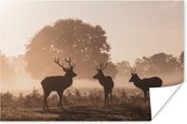 Cerf dans le brouillard dans la forêt 30x20 cm - petit