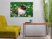 Doe-het-zelf op canvas schilderen - Rabbit in the Meadow-60x40