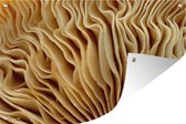 Tuindecoratie Plaatjes van een paddenstoel - 60x40 cm - Tuinposter - Tuindoek - Buitenposter