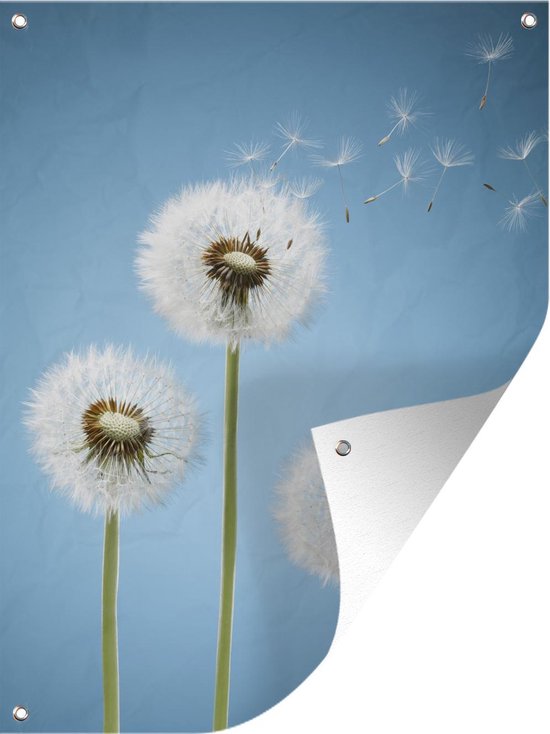 Tuinposter - Tuindoek - Tuinposters buiten - Illustratie - Paardenbloem - Zaden - 90x120 cm - Tuin