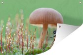 Tuindecoratie Lieveheersbeestje onder een paddenstoel - 60x40 cm - Tuinposter - Tuindoek - Buitenposter