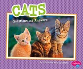 Pet Questions and Answers - Cats