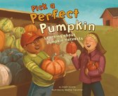 Autumn - Pick a Perfect Pumpkin