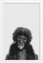 JUNIQE - Poster in houten lijst Bonobo Classic -20x30 /Wit & Zwart