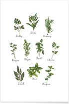 JUNIQE - Poster Herbs Collection -13x18 /Groen & Wit