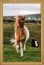 JUNIQE - Poster met houten lijst Shetland Ponies -30x45 /Bruin & Groen