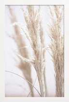 JUNIQE - Poster in houten lijst Pampas Reed 01 -40x60 /Ivoor & Wit