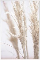 JUNIQE - Poster in kunststof lijst Pampas Reed 01 -30x45 /Ivoor & Wit