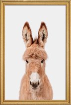 JUNIQE - Poster met houten lijst Donkey -20x30 /Bruin & Ivoor
