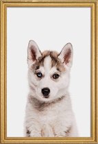 JUNIQE - Poster met houten lijst Husky -40x60 /Ivoor & Wit