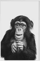 JUNIQE - Poster in kunststof lijst Chimpanzee II -30x45 /Grijs & Zwart