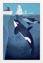 JUNIQE - Poster in houten lijst Vintage orka -30x45 /Blauw
