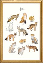 JUNIQE - Poster met houten lijst Vossen illustratie -40x60 /Bruin &