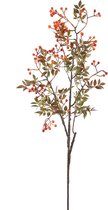 PTMD Berry Kunstplant - 62 x 30 x 110 cm - Kunststof - Oranje