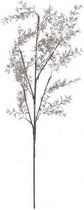 House Of Seasons Plantensteker Tak 25 X 85 Cm