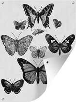 Muurdecoratie buiten Een zwart-wit illustratie van enkele vlinders - 120x160 cm - Tuindoek - Buitenposter