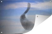 Tuinposter - Tuindoek - Tuinposters buiten - Een grote zwerm vogels vliegt door de lucht - 120x80 cm - Tuin