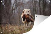 Tuindecoratie Labrador vangt fazant - 60x40 cm - Tuinposter - Tuindoek - Buitenposter