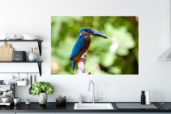 Sticker Muursticker Martin-pêcheur - Martin-pêcheur avec prise - 120x80 cm - film adhésif autocollant - sticker mural repositionnable