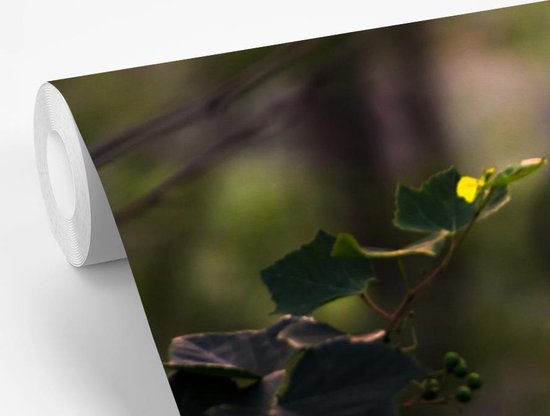 Papier peint photo peint vinyle - Deux oiseaux sur une branche largeur 360 cm x hauteur 240 cm - Tirage photo sur papier peint (disponible en 7 tailles)