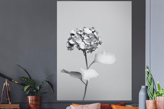 Sticker Muursticker Hortensias Zwart et blanc - 120x160 cm - film autocollant - sticker mural repositionnable XXL /