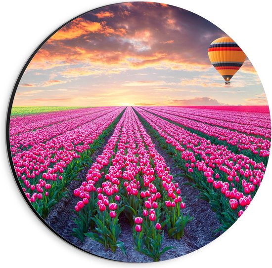 Dibond Wandcirkel - Luchtballon boven Tulpenvelden  - 20x20cm Foto op Aluminium Wandcirkel (met ophangsysteem)