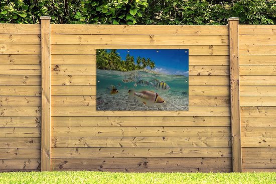 Tuinposter 120x80 cm - Tuindecoratie Strand - Vissen - Tropisch - Poster voor in de tuin - Buiten decoratie - Schutting tuinschilderij - Tuindoek muurdecoratie - Wanddecoratie balkondoek
