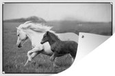 Muurdecoratie Paarden - Dieren - Gras - 180x120 cm - Tuinposter - Tuindoek - Buitenposter