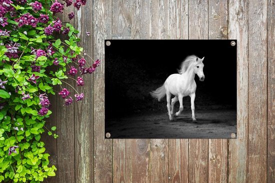 Tableau de jardin Paarden - Sable - Foncé - 80x60 cm - Affiche jardin - Toile jardin - Affiche extérieur