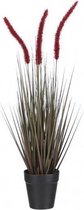 Mica Decorations Kunstbloem Dogtail 53 Cm Rood/Groen