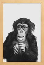 JUNIQE - Poster in houten lijst Chimpanzee II -40x60 /Grijs & Zwart