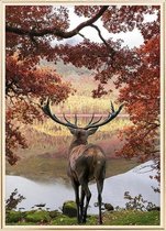 Poster Met Metaal Gouden Lijst - Red Deer Poster