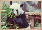 Poster Met Eiken Lijst - Verlegen Panda Poster