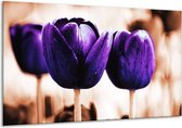 Peinture sur toile Tulipe | Violet, marron, blanc | 120x70cm 1Hatch