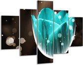 Glasschilderij -  Tulp - Blauw, Zwart - 100x70cm 5Luik - Geen Acrylglas Schilderij - GroepArt 6000+ Glasschilderijen Collectie - Wanddecoratie- Foto Op Glas