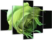 Glasschilderij -  Roos - Groen, Zwart, - 100x70cm 5Luik - Geen Acrylglas Schilderij - GroepArt 6000+ Glasschilderijen Collectie - Wanddecoratie- Foto Op Glas