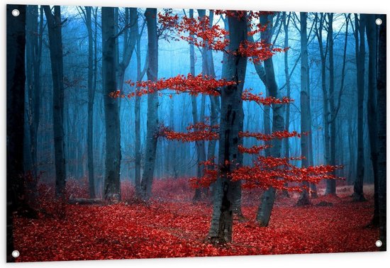 Tuinposter – Rode Bladeren aan Bomen in Bos - 120x80cm Foto op Tuinposter  (wanddecoratie voor buiten en binnen)
