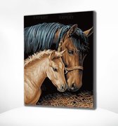 Painting Expert® Schilderen op nummer Volwassenen - Schilderen op nummer Kinderen - Paard en Veulen - 40x50cm - Exclusief Lijst (24 kleurtjes)