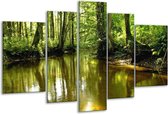 Glasschilderij Natuur - Groen, Bruin - 170x100cm 5Luik - Foto Op Glas - Geen Acrylglas Schilderij - 6000+ Glasschilderijen Collectie - Wanddecoratie