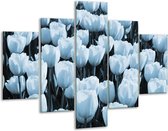 Glasschilderij -  Bloem, Tulpen - Blauw - 100x70cm 5Luik - Geen Acrylglas Schilderij - GroepArt 6000+ Glasschilderijen Collectie - Wanddecoratie- Foto Op Glas
