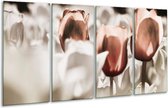 GroepArt - Glasschilderij - Tulpen - Bruin, Grijs, Wit - 160x80cm 4Luik - Foto Op Glas - Geen Acrylglas Schilderij - 6000+ Glasschilderijen Collectie - Wanddecoratie